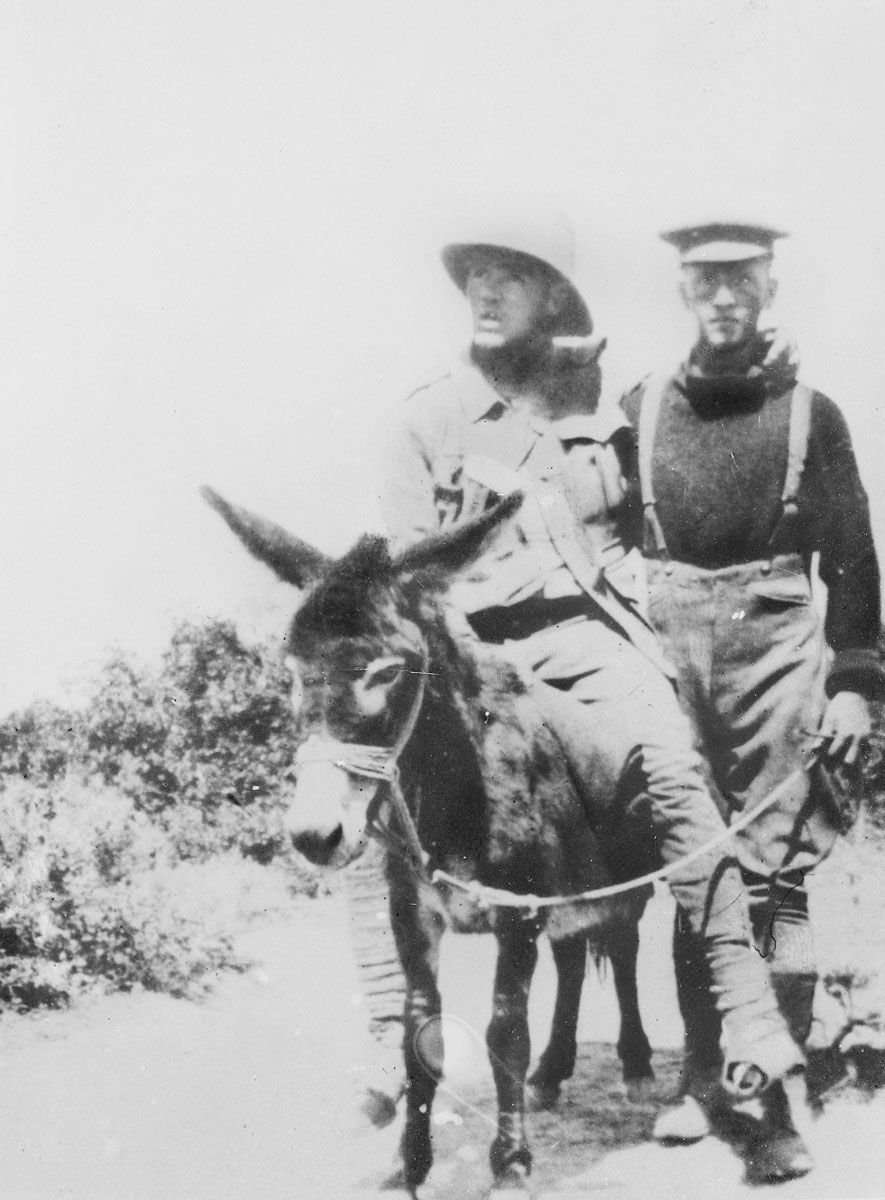Pte Richard ‘Dickie’ Henderson, NZ Medical Corps, attending to wounded with a donkey. 